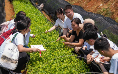 华东交大：22支“火车头”实践队进基层开展志愿服务活动_fororder_新华1