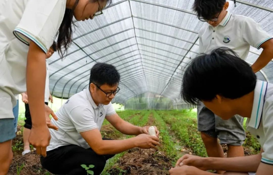 图为驻村干部带领“火车头”大思政实践队成员在竹荪大棚进行采摘作业