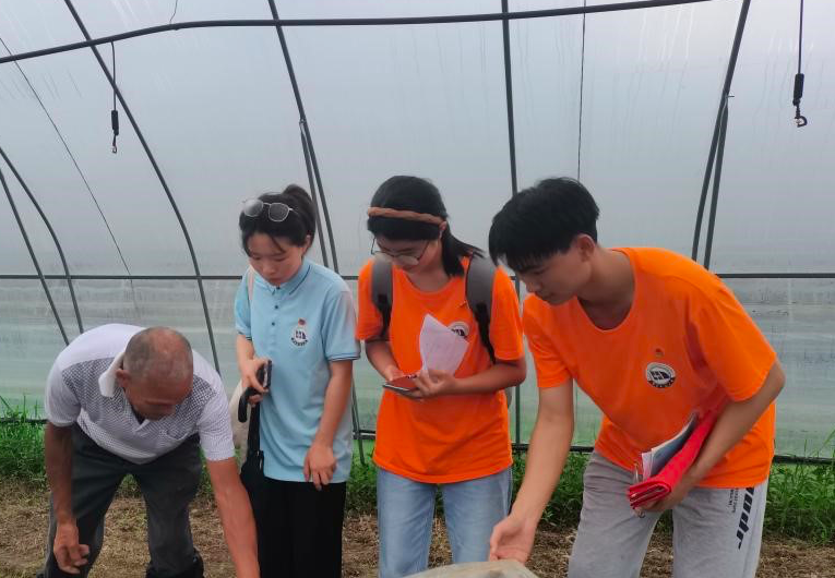 beat365中文唯一官网19支暑期社会实践队用实干书写“青春答卷”