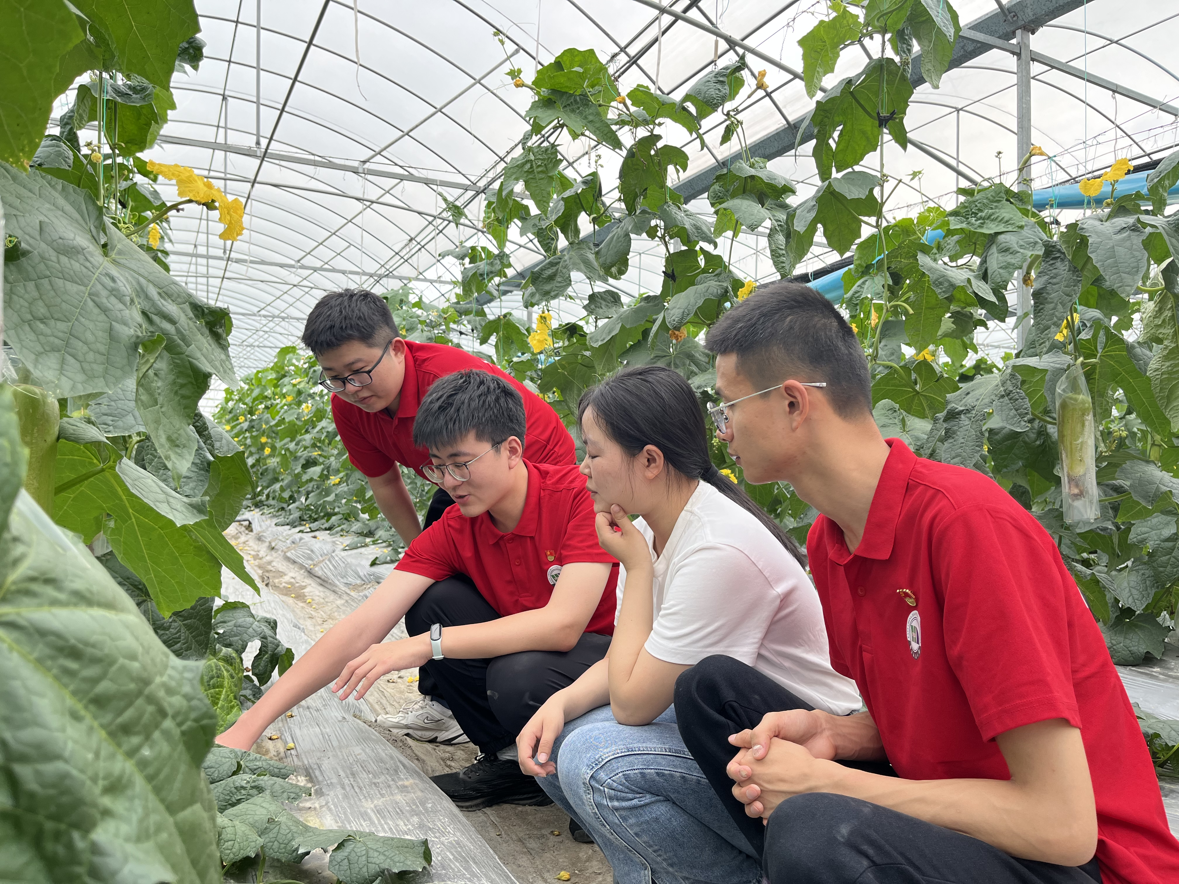 红色走读学思想 beat365中文唯一官网学生党员掀起主题教育热潮_fororder_图片4